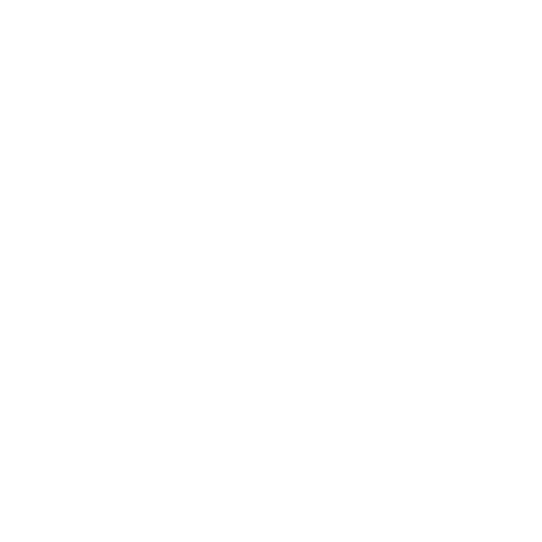 100Butchers